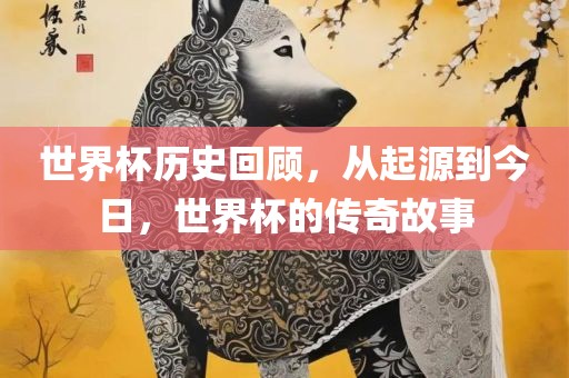 世界杯历史回顾，从起源到今日，世界杯的传奇故事