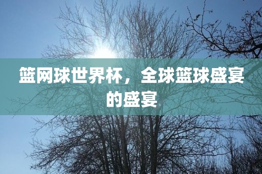 篮网球世界杯，全球篮球盛宴的盛宴