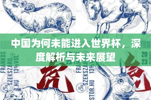 中国为何未能进入世界杯，深度解析与未来展望